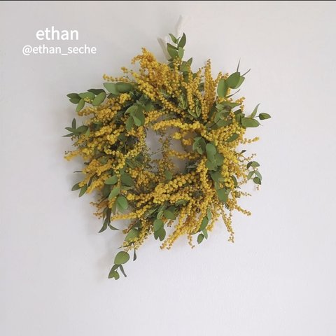 Dried flowers wreath  /　Mimosa