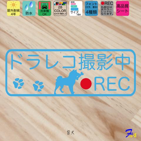 柴犬 ① ドライブレコーダー ステッカー