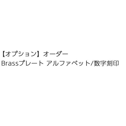 【オプション】ブレスレット Brassプレート アルファベット/数字 刻印