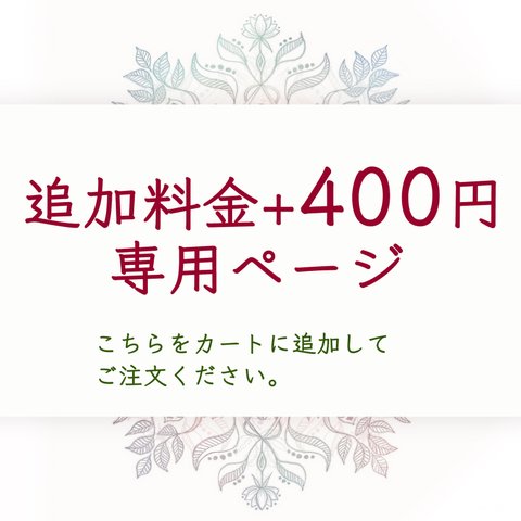 追加料金+400円用専用ページ★