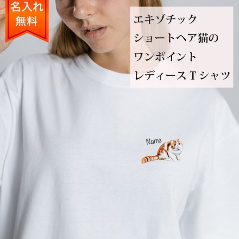 エキゾチックショートヘア 猫 の 半袖 レディース ワンポイント Tシャツ / メンズサイズあります！ 猫好きへのギフトに！ プレゼントに！  