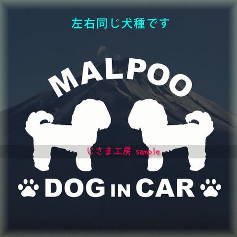 【同一犬種】　かわいい愛犬2頭飼い『DoginCar』シルエットステッカー（ご希望犬種）