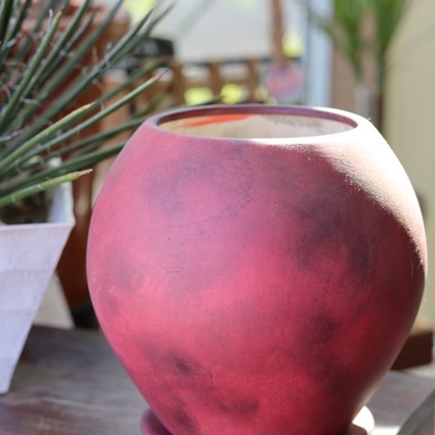 ボルドー植木鉢