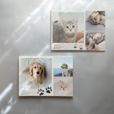 ＼🐾 写真入／ うちの子 キャンバスボード3［F4］大切な家族 犬 猫 ペット 写真3枚 肉球 メモリアル  ＊送料無料