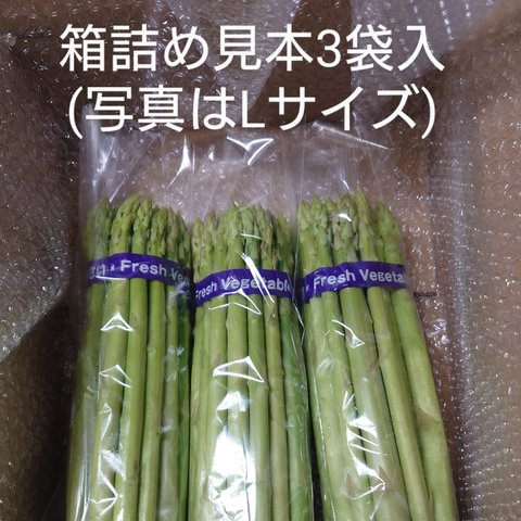 Ｍサイズ1.5キロ入り💚採れたて夏アスパラ🥰 【収穫当日発送💚】