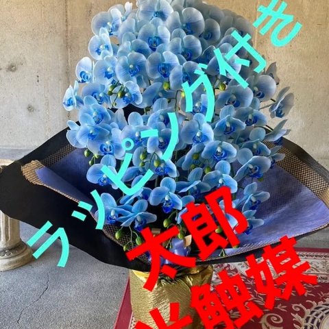 光触媒　人工観葉植物　ウォールグリーン　フェイクグリーン　リアル胡蝶蘭１０本jt