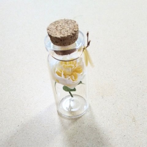 ﾐﾆ布花♡薔薇＊ｼﾞｬﾝﾇﾀﾞﾙｸ