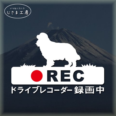 キャバリアの白色シルエットステッカー‼後方注意‼『DRIVE　RECORDER』