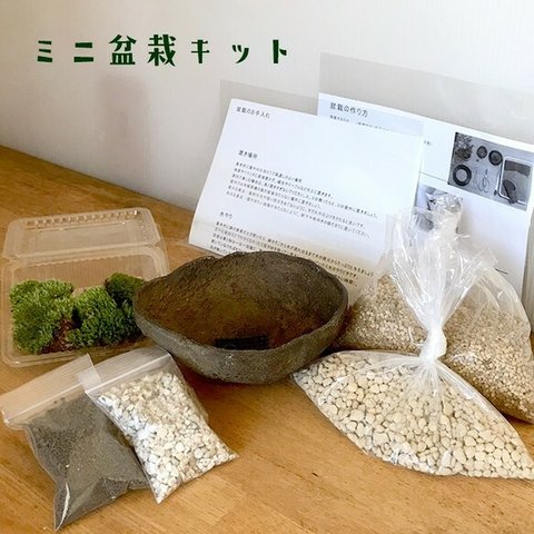 ご自宅で盆栽作りませんか？【盆栽作成キット（くらま鉢）セット】