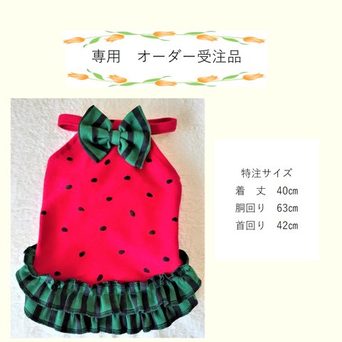 専用 犬服  キャミソール スイカの服-B  特注サイズ　送料無料　nskB01