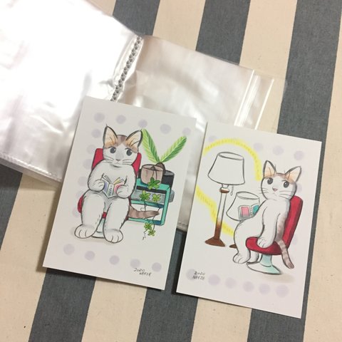原画入り 送料無料 猫の コレクターズ ポストカード クリアファイル （1）  収納 絵 イラスト 絵画 手描き 絵葉書 絵ハガキ 絵はがき
