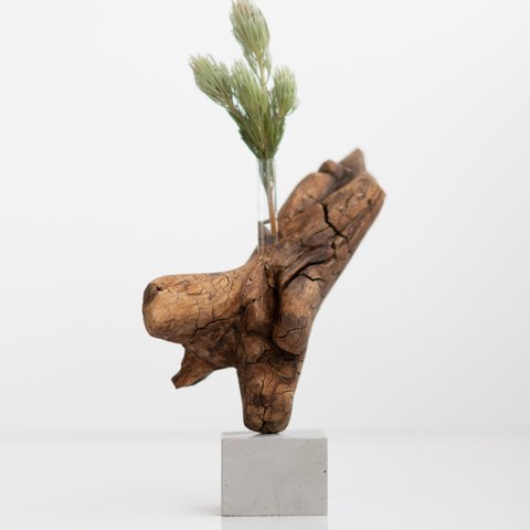 世界にたったひとつあなただけの流木一輪挿し | driftwood flowervase | eda no.1