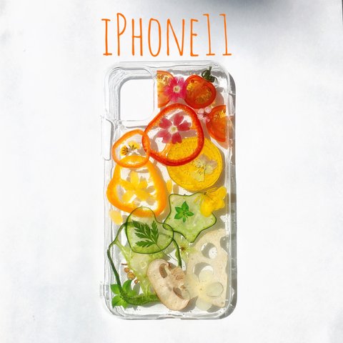 iPhoneケース　スマホケース　iPhoneカバー　スマホカバー　押し野菜ケース　iPhone11ケース