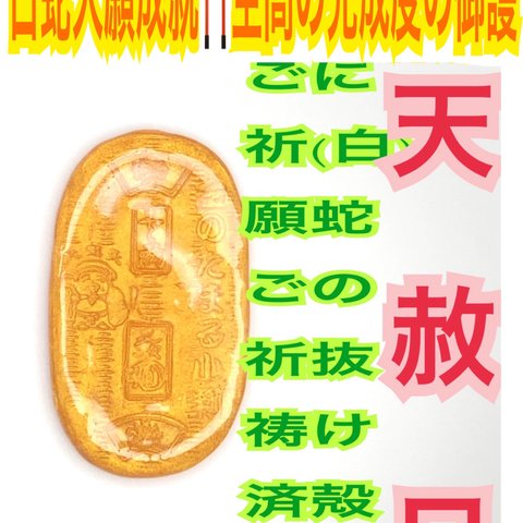 小判✨大判✨七福神✨貯まる✨大黒天✨商売繁盛✨アップ✨高額当選✨投資✨ギャンブル✨結婚✨運気上昇✨金運✨財運✨恋愛✨仕事運✨開運✨子宝✨白蛇の抜け殻✨メモリーオイル使用✨白蛇のお守り【天赦日ご祈祷済】