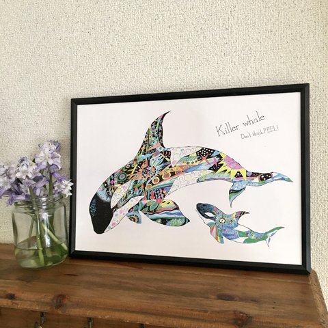 シャチ Killer whale ver.4  横バージョンアートイラスト　ポスター　B4/A4/A3