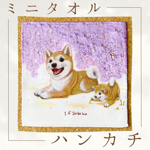 【柴犬】ハンカチタオル🌟ラッピング対応🌟プレゼントにも♪