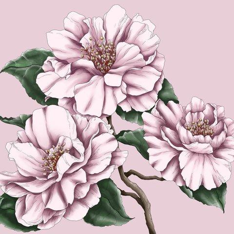 Peony print postcard - #２ 牡丹のアートはがき #２