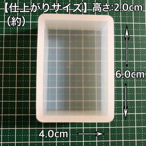 【4cm×6cm】シリコンモールド 長方形 四角形 深型 大きいサイズ 標本 四角型 昆虫