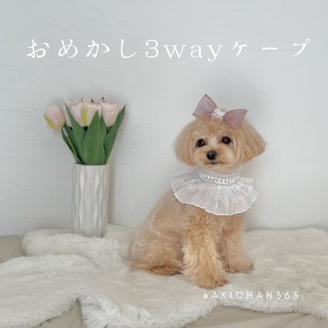 おめかし3wayケープ（誕生日、つけ襟、スタイ、犬、猫、うさぎ、ベビークラウン