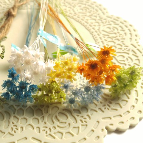 ７色の小さな花束✨シトラス夏色コレクション