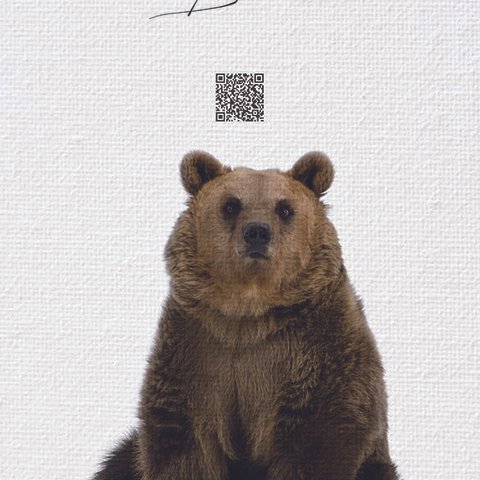 3D表示できるQR付 動物ポスター　熊