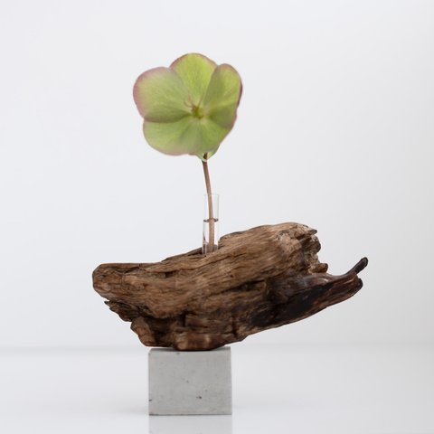 流木一輪挿し | driftwood flowervase | osakana no.3