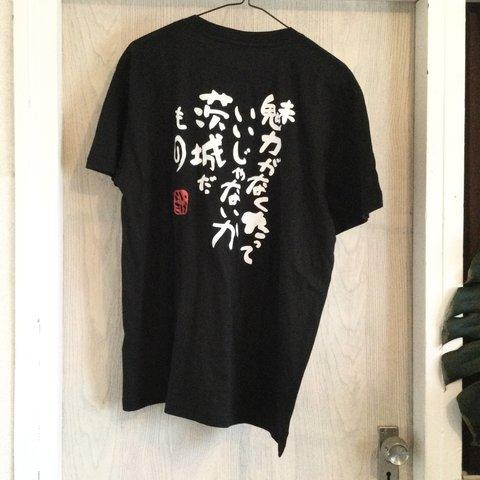 【イバラキTシャツ(Lサイズ)】from NORTHENER OF IBARAKESE