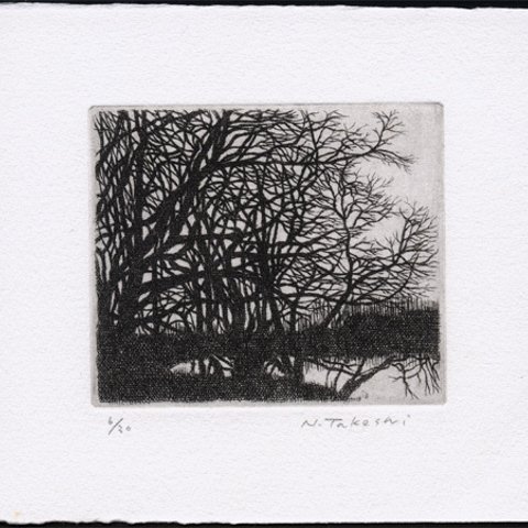 冬の樹 / 銅版画 (作品のみ）