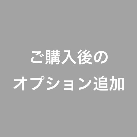 ご購入後のオプション追加