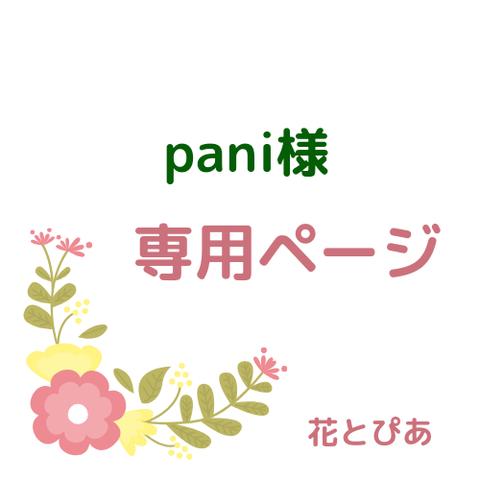 ✿pani様専用  ４体おまとめ着せ替えあみぐるみ