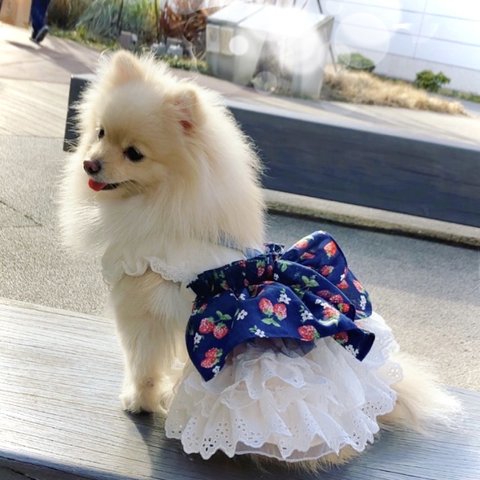 犬服 ふりる たっぷり🍓サスペンダー♡いちごワンピース　オフホワイト　犬服ワンピース