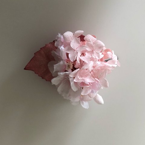 桜・春霞