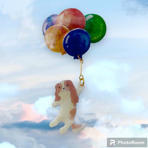 【再再販】キャバリアとお空の散歩🎈🐶🐾