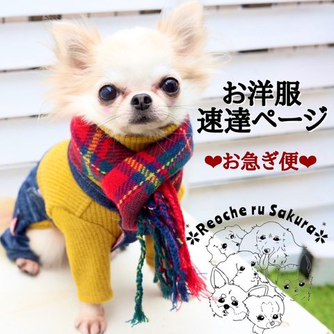 ★速達ページ お急ぎ便★犬服、ペット用品 急にお出かけの予定が入った！プレゼント用意し忘れてた！早急に欲しい！そんな方の為のお急ぎコース