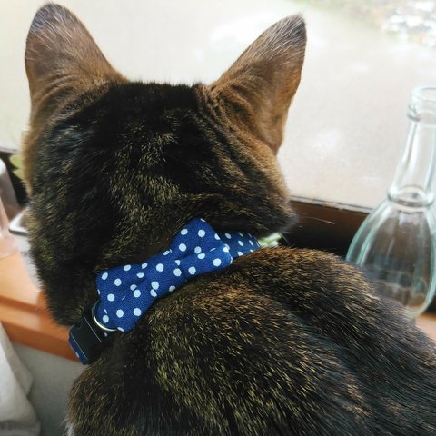 【受注製作】ドットの猫ちゃん用首輪　紺色