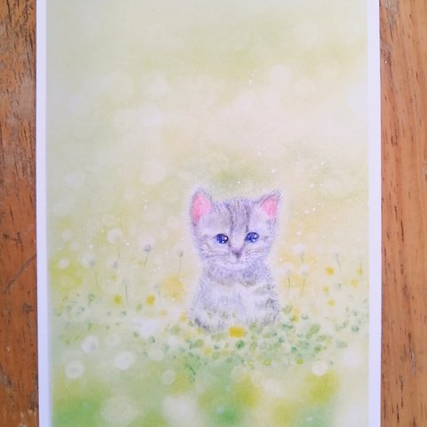 ネコのポストカード　ネコとタンポポの風景　2枚セット