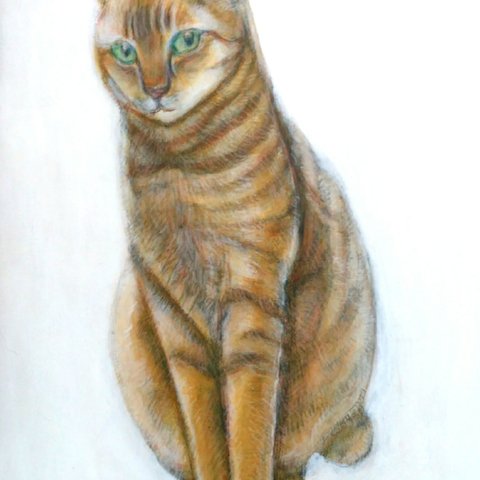 Tabby Cat,  mischievous look トラ猫、茶目っ気　真作　アクリル、色鉛筆絵画