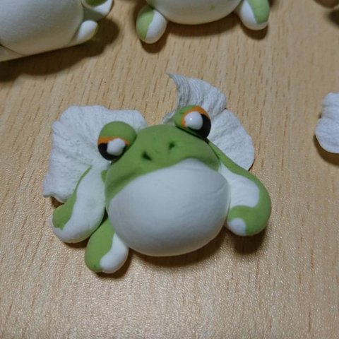 羽根カエルちゃん🐸