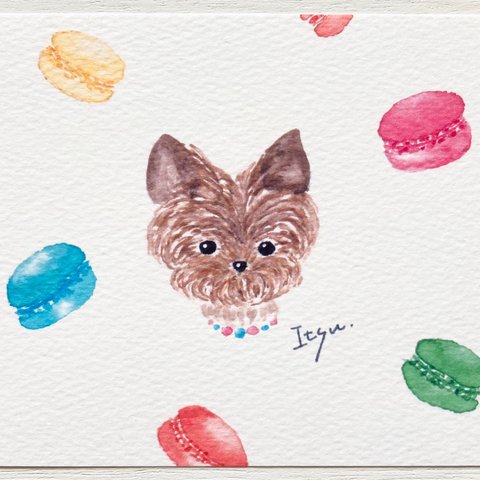 🐶「おしゃまなヨークシャテリア」水彩画イラストポストカード２枚セット　犬　ドッグ　いぬ　マカロン　スイーツ　メッセージカード　バースデーカード🐶