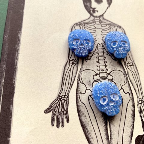 【2コセット】JIRI＊IVANA#czech beads#チェコビーズ　skull18✖️15㍉ blue/white