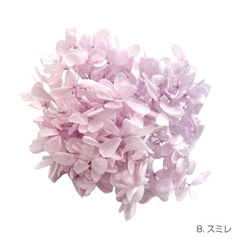 【即納】 ピラミッドアジサイグラバー 20g スミレ プリザーブドフラワー あじさい 紫陽花 花材 花 プリザーブド花材 ハンドメイド パーツ アクセサリー 資材 緑