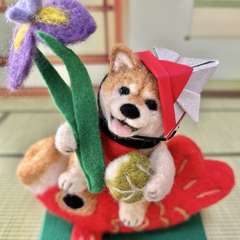 こどもの日🎏赤い鯉のぼりにまたがった柴犬ちゃん(羊毛フェルト)