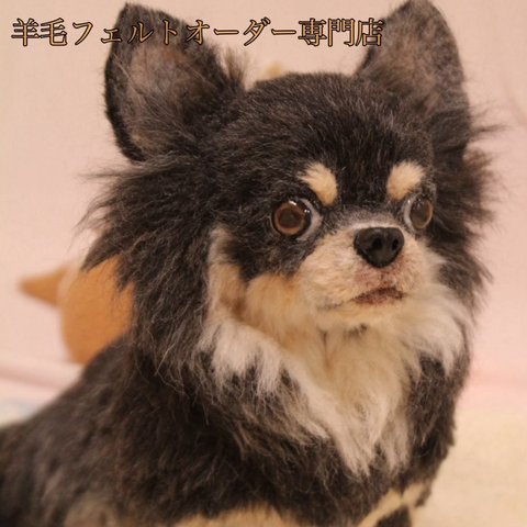 【うちの子オーダー】リアル　愛犬さんのオーダー　羊毛フェルトオーダー　犬　置物　ペット　オーダーメイド犬　メモリアル　ペットロス　チワワ　トイプードル　ダックス　ポメラニアン　柴犬　パピヨン　