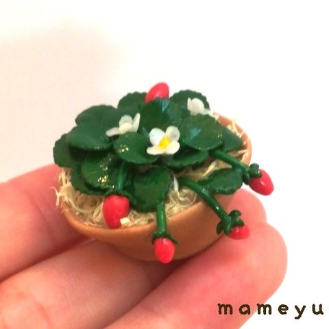 ミニチュア鉢植え　苺🍓④