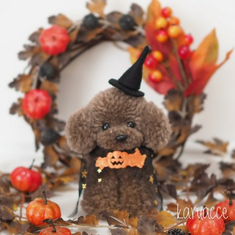 ◎ハロウィン限定◎毛糸ぽんぽん トイプードルのハロウィンドール(♂)