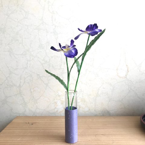 小さな菖蒲（約14cm）