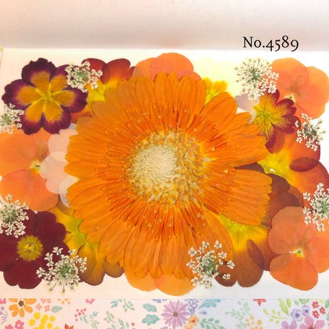 ♡new♡作家様必見♡押し花MIXセット♡押し花セット