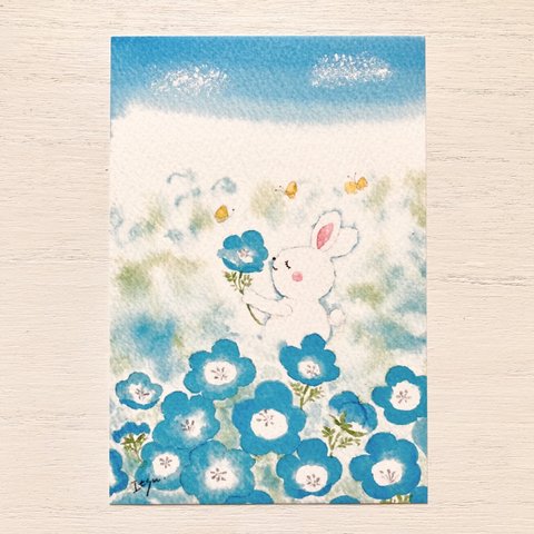 🌼透明水彩画「ネモフィラ畑でほっこり」 イラストポストカード 2枚セット うさぎ　ウサギ　花　フラワー　春　入園入学　入学式　バレンタイン🌼