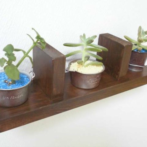 多肉植物、観葉植物　miniシェルフ（Ｘ４）