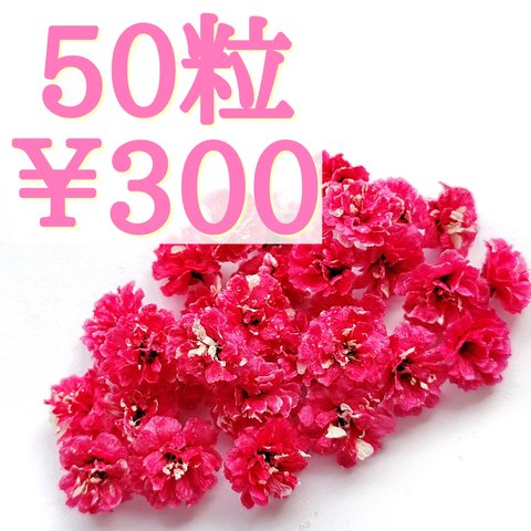 かすみ草ドライフラワー50粒セット(ルビー)